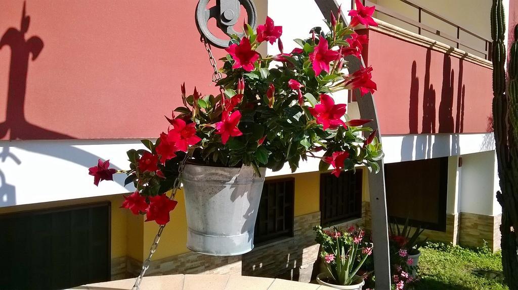 Hotel Ginevra Poggiomarino ภายนอก รูปภาพ