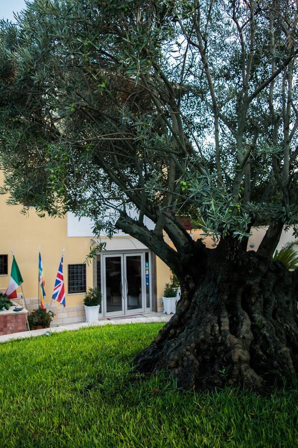 Hotel Ginevra Poggiomarino ภายนอก รูปภาพ